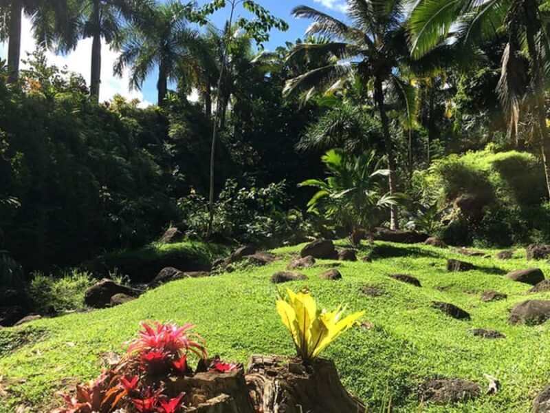 Princeville: Guided Botanical Gardens and Chocolate Tour - Key Points