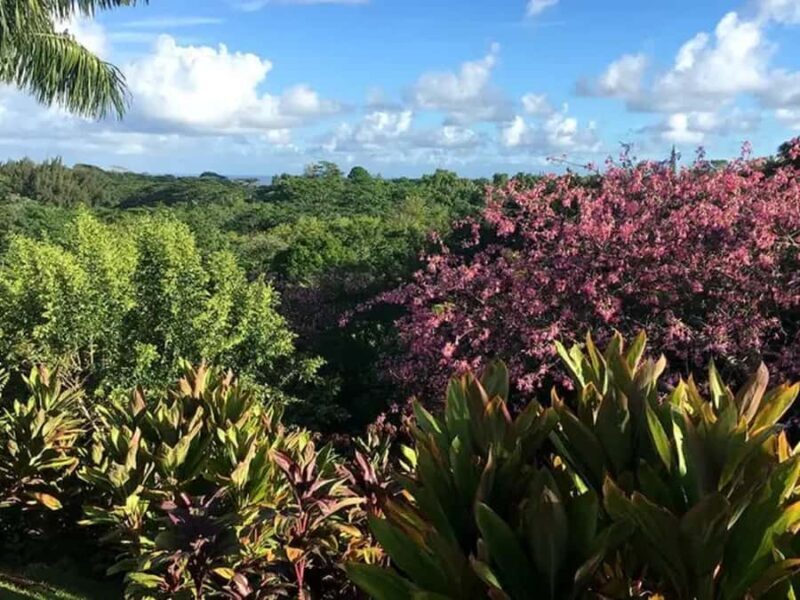 Princeville: Guided Botanical Gardens and Chocolate Tour - What You Can Expect on the Tour