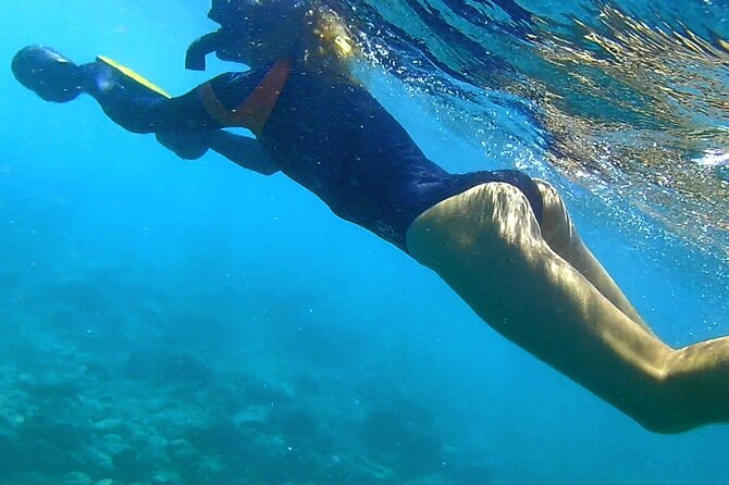 Princeville - Snorkeling Shore Excursion - Marine Life Encountered