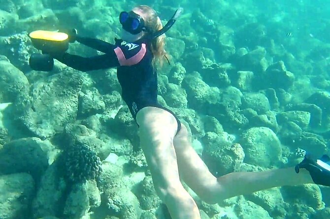 Princeville - Snorkeling Shore Excursion - Tips for a Successful Snorkeling Adventure