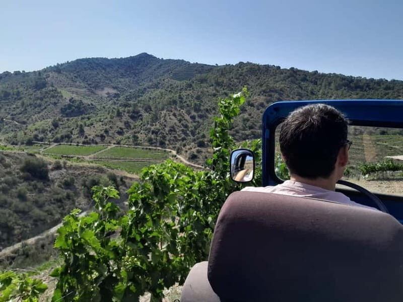 Priorat tour to 3 small wineries and hotel pick-up - Why Choose This Priorat Wine Tour?