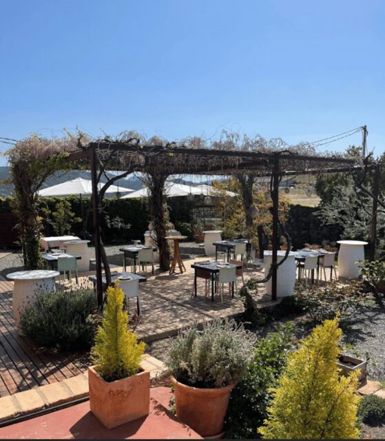 Priorat tour to 3 small wineries and hotel pick-up - The Experience from a Travel Perspective
