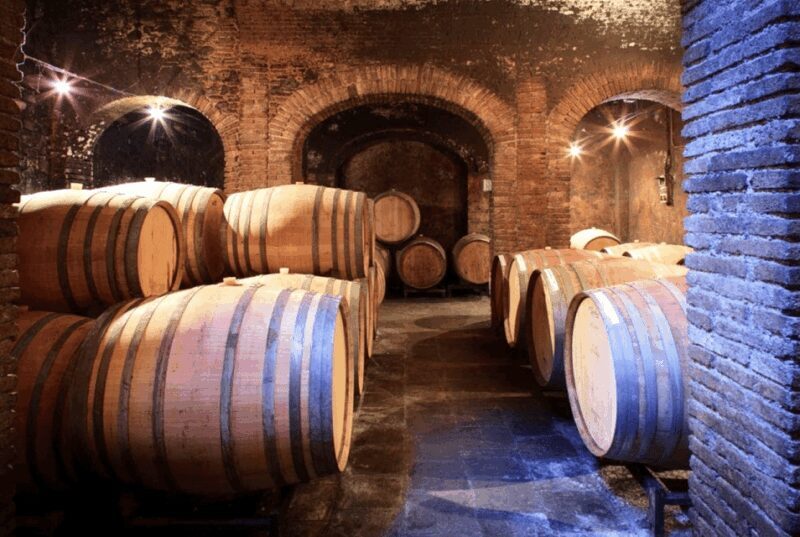 Priorat tour to 3 small wineries and hotel pick-up - Authenticity and Value