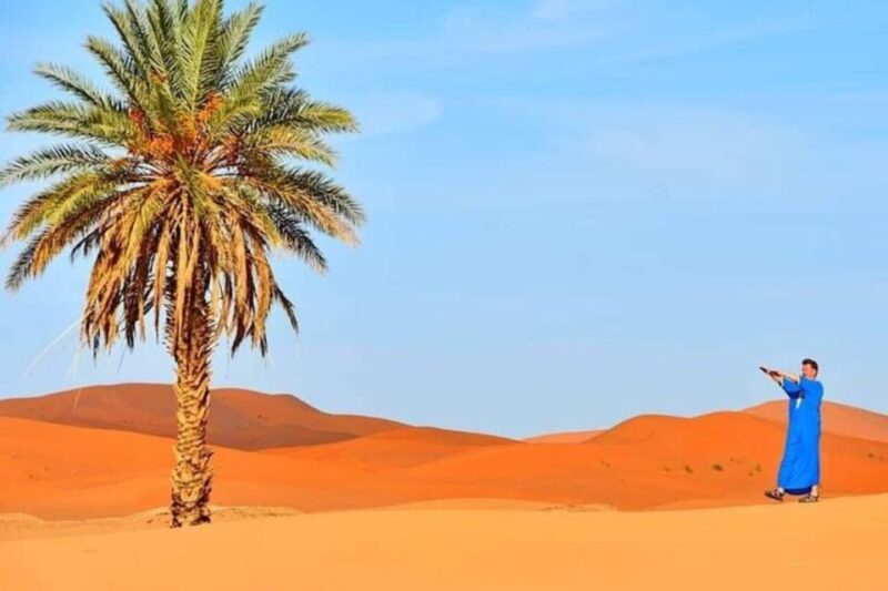 PRIVAT 2-Day Tour From Fes to Fes - Merzouga Luxury Camps - Exploring the Cedar Forest