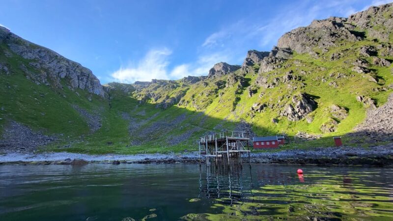 Privat Wildlife Kingcrab Safari Around the North Cape - Experience Highlights