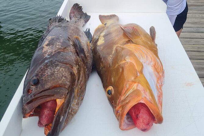 Private 1/2 Day Afternoon Bottom Fishing Charter on "Shady Grady" - Setting Out on the Water: What to Expect