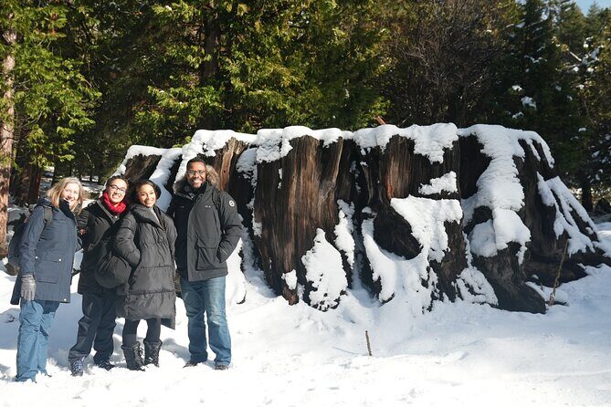 Private 1-Day Sequoia and Kings Canyon Park Tour from Los Angeles - Key Points