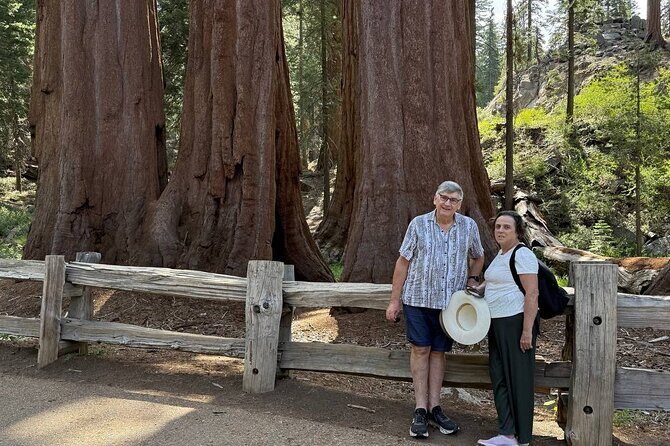 Private 1-Day Sequoia and Kings Canyon Park Tour from Los Angeles - An In-Depth Look at the Itinerary