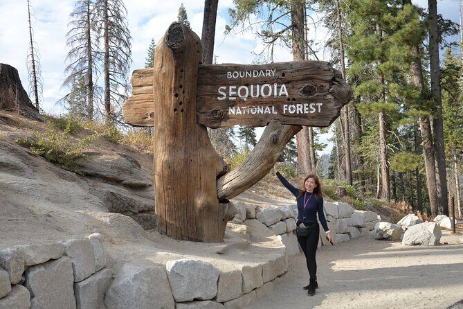 Private 1-Day Sequoia and Kings Canyon Park Tour from Los Angeles - Who Should Consider This Tour?
