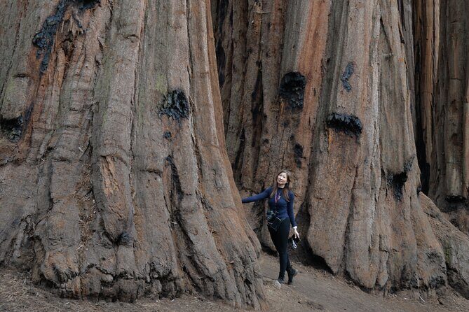 Private 1-Day Sequoia and Kings Canyon Park Tour from Los Angeles - The Sum Up