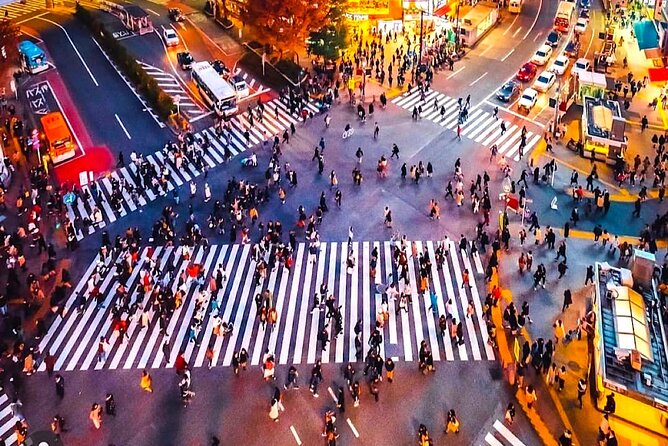 Private 1-Day Tokyo City Tour With English Speaking Driver - Accessibility Information