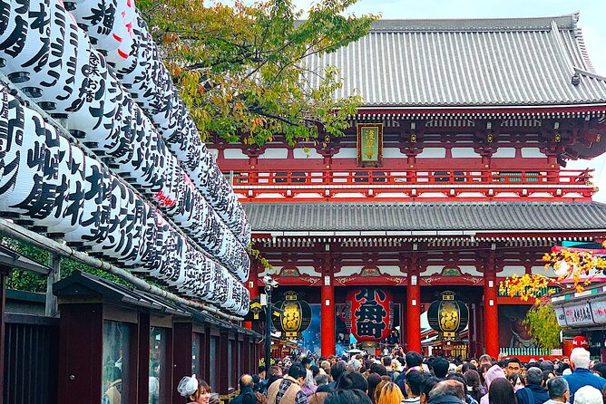 Private 1-Day Tokyo City Tour With English Speaking Driver - Additional Notes