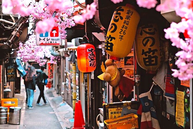 Private 1-Day Tokyo City Tour With English Speaking Driver - What to Expect