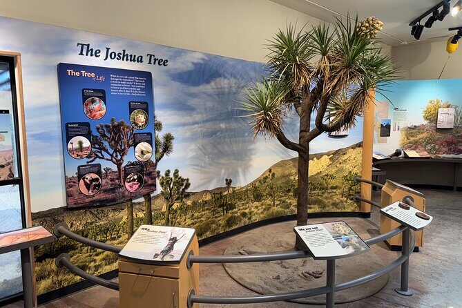 Private 1 Day Tour to Joshua Tree National Park - Who This Tour Is Best For