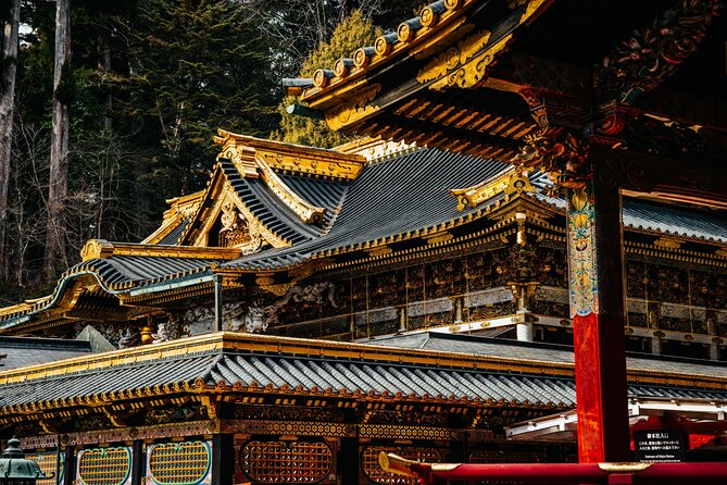 Private 1 Day Tour to Nikko: Onsen, UNESCO Shrines and Nature - Accessibility and Participation
