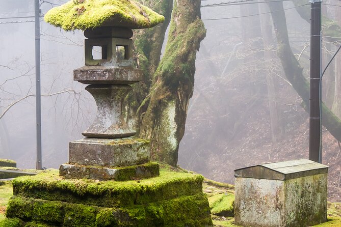 Private 1 Day Tour to Nikko: Onsen, UNESCO Shrines and Nature - Additional Information