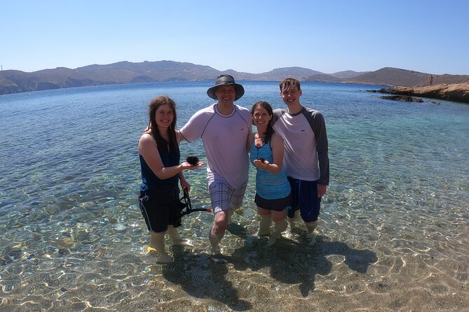 Private 1-Hour Guided Snorkeling Adventure With Go Pro Pictures - Customer Reviews