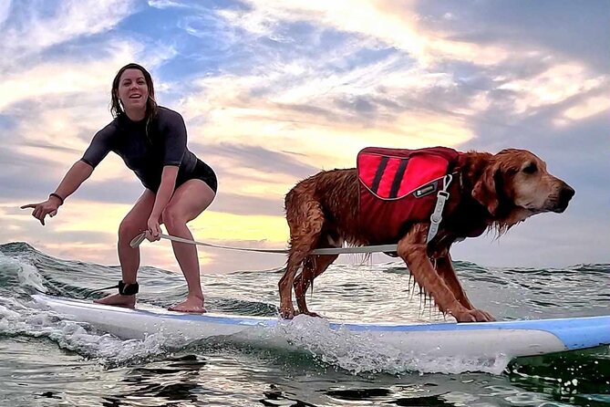 Private 1-On-1 Surf Lesson With Videos and Photos - Photo and Video Package Details