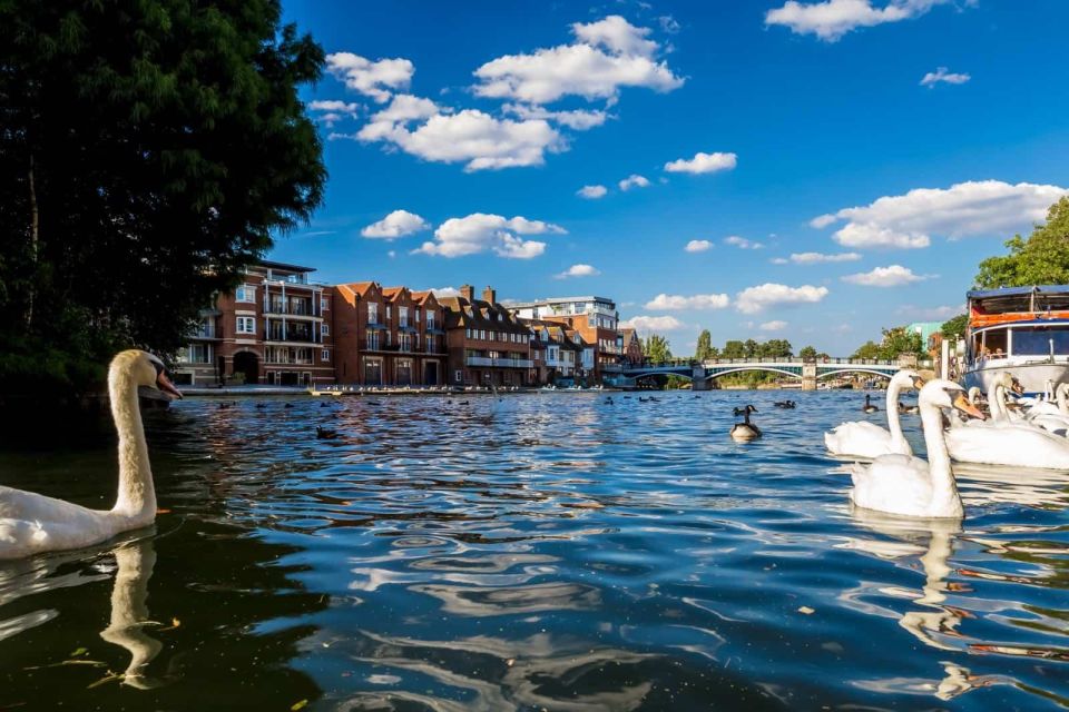 Private 10 Hour Day Tour: Oxford & Bicester Village - Tips for a Great Experience