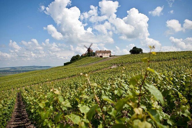 Private 10-hour round transfer to Champagne Epernay from Paris. Best offer! - Introduction: A Taste of Champagne Without the Crowds