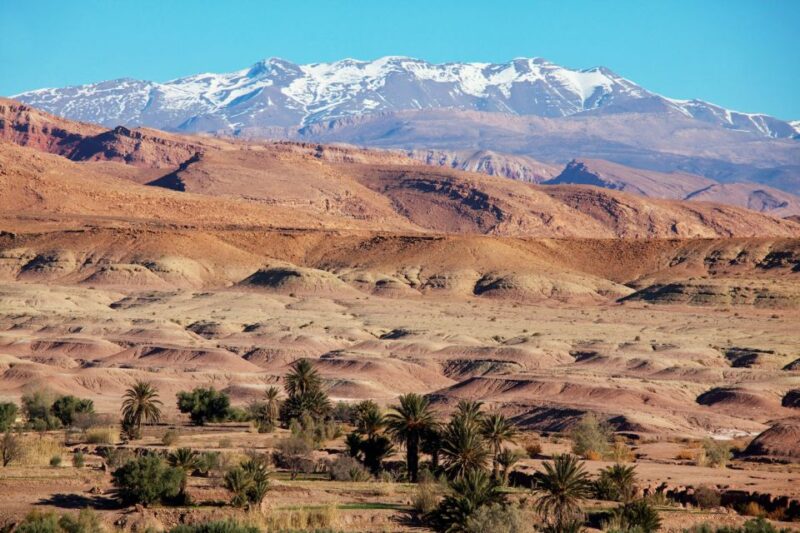 Private 14 Day Tour of Morocco From Marrakech - Included Experiences