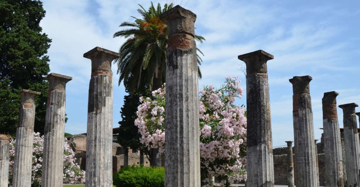 Private 2.5-Hour Pompeii Tour - Inclusions and Exclusions