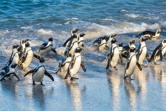 Private 2-Day Cape Town Highlights: Robben Island,Table Mountain Tickets & Wine - Optional Excursions