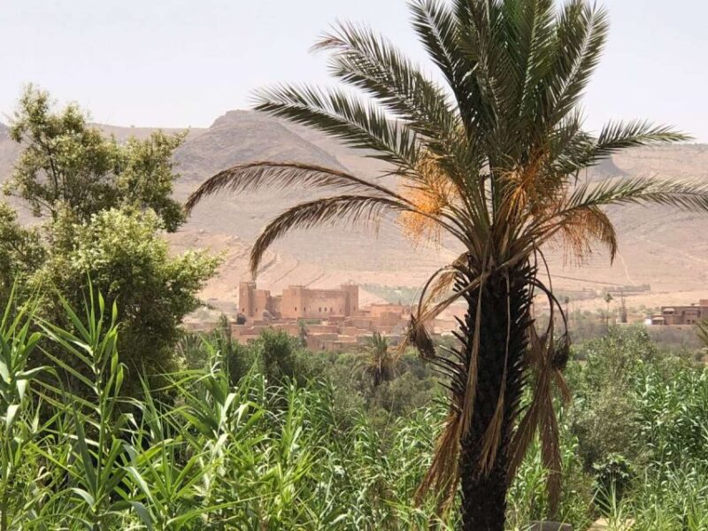 Private 2-Day Desert Trip With Camping & Camel Trekking - Good To Know