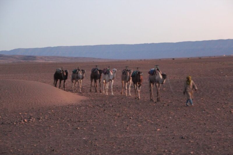 Private 2-Day Desert Trip With Camping & Camel Trekking - Captivating Sunset Camel Ride