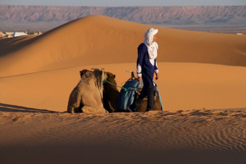 Private 2-Day Desert Trip With Camping & Camel Trekking - Cozy Berber Tent Overnight