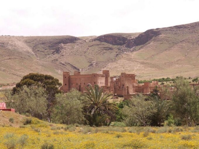 Private 2-Day Desert Trip With Camping & Camel Trekking - Frequently Asked Questions