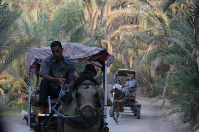 PRIVATE 2 Day SAFARI (Ksar Ghilane and Atlas Mountains) From Jerba - Pickup Information
