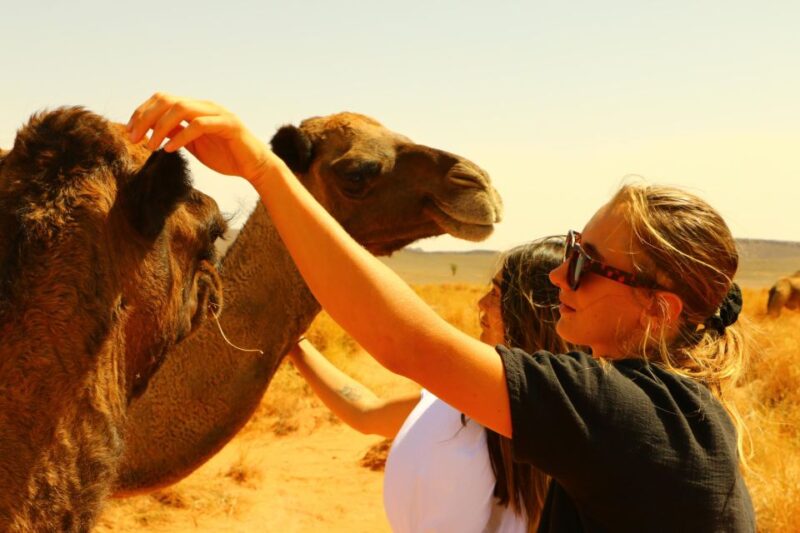 Private 2-Days Tour to Erg Chegaga With Guide From Zagora - Included Services