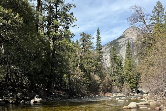 Private 2 Days Tour to Yosemite National Park - Day 2: Exploring Deeper and Enjoying Free Time