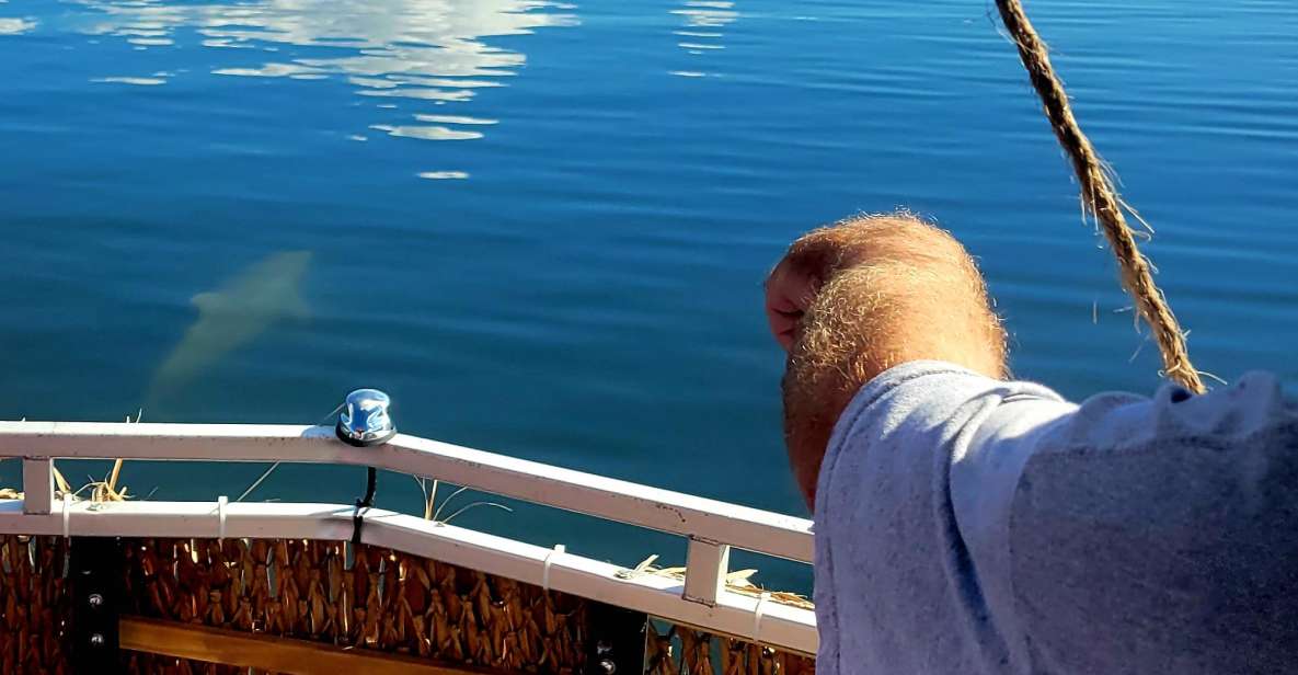 Private 2 Hour Dolphin Sightseeing Tour- Melbourne - Booking Details