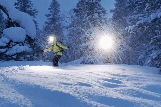 Private 2-Hour Snowboarding in Levi - Accessibility Considerations