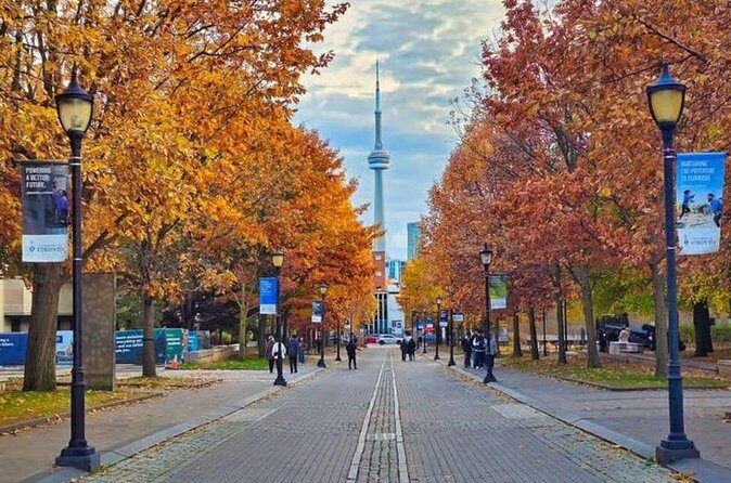 Private 2 Hours Photoshoot with a Pro Photographer in Toronto - The Sum Up