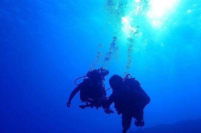 Private 2 Tank Dive at Molokini Crater Certified Divers Only - FAQs