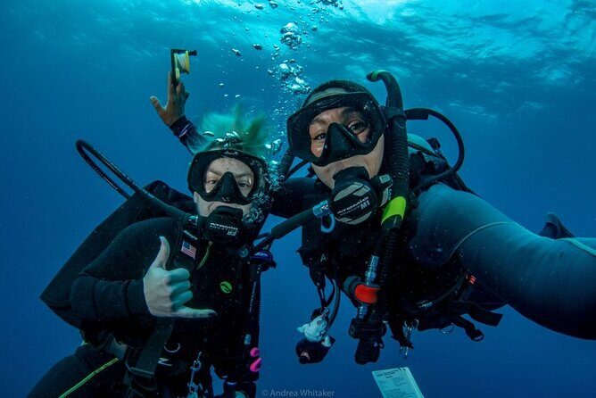 Private 2-Tank Dive with PADI Instructor for Certified Divers - What to Expect from the Experience