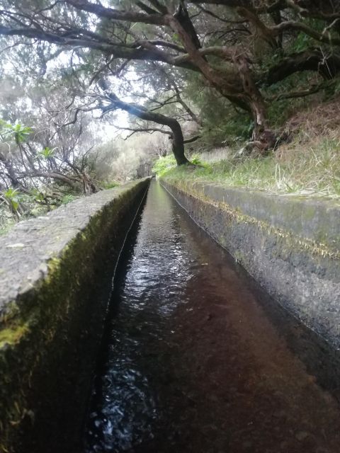 Private - 25 Fontes and Risco Waterfall Guided Tour - Key Points