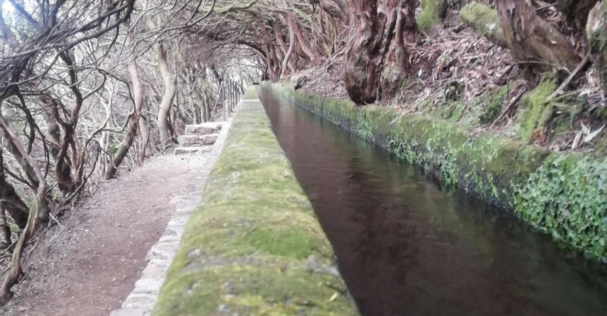 Private - 25 Fontes and Risco Waterfall Guided Tour - Itinerary Details