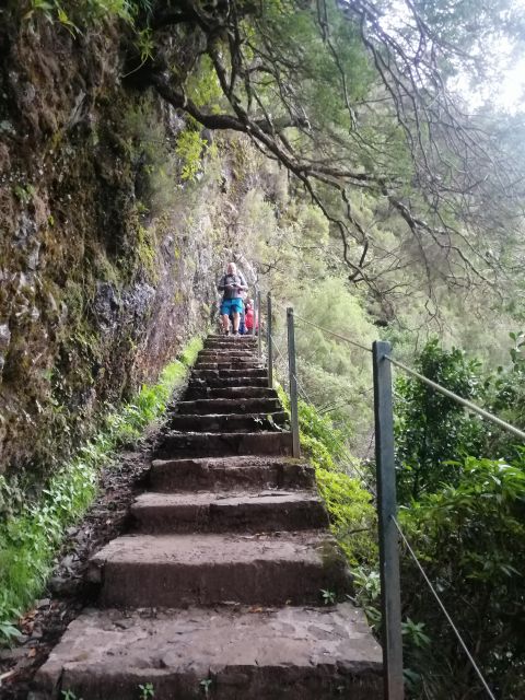 Private - 25 Fontes and Risco Waterfall Guided Tour - Inclusions and Restrictions