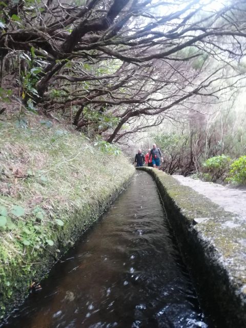 Private - 25 Fontes and Risco Waterfall Guided Tour - Frequently Asked Questions