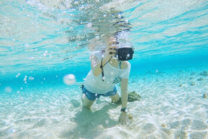 Private 3 Day Tour in Yoron Island - Culinary Delights: Savor the Local Flavors