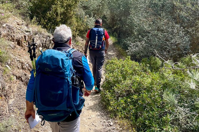Private 3-Hour Hiking in Mount Ymittos - Good To Know