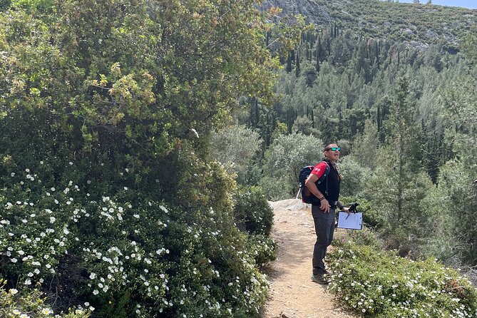 Private 3-Hour Hiking in Mount Ymittos - Guided Trekking Experience in Mount Ymittos