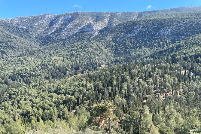 Private 3-Hour Hiking in Mount Ymittos - Pricing and Availability Details