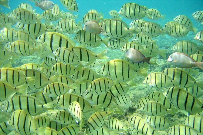 Private 3 Hour Snorkeling Tour with Arch Tour and Beach Time - Who This Tour Is Best For