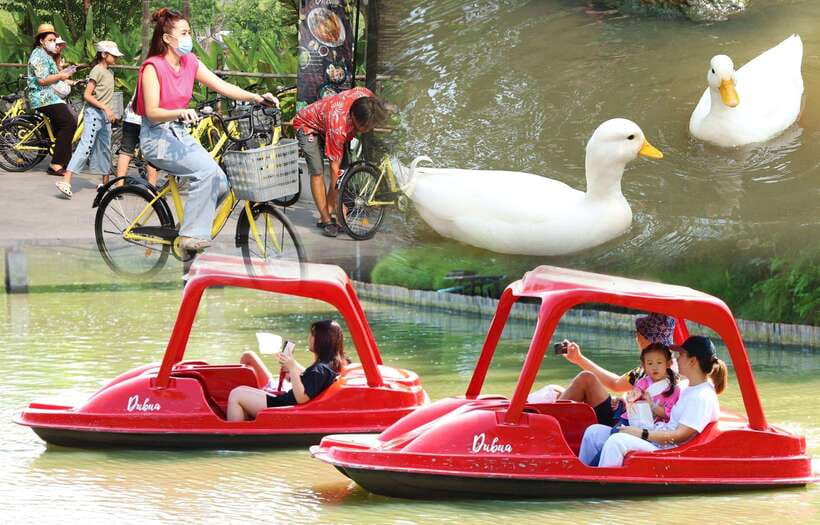 Private 3 IG Cafe + Don Wai Floating Market: From Bangkok - Key Points