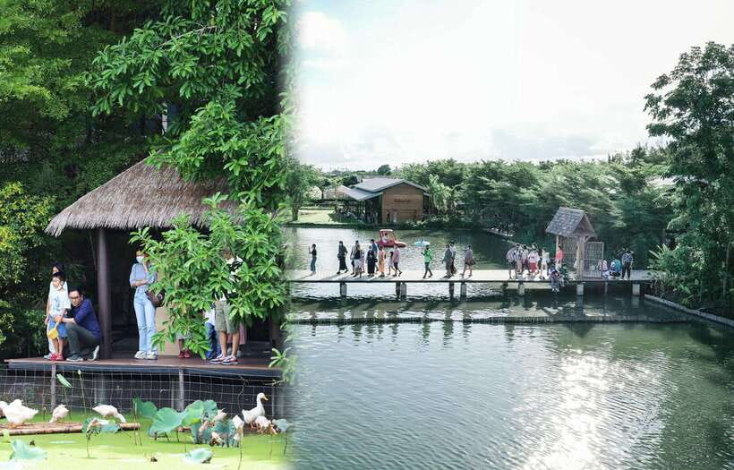 Private 3 IG Cafe + Don Wai Floating Market: From Bangkok - Highlights
